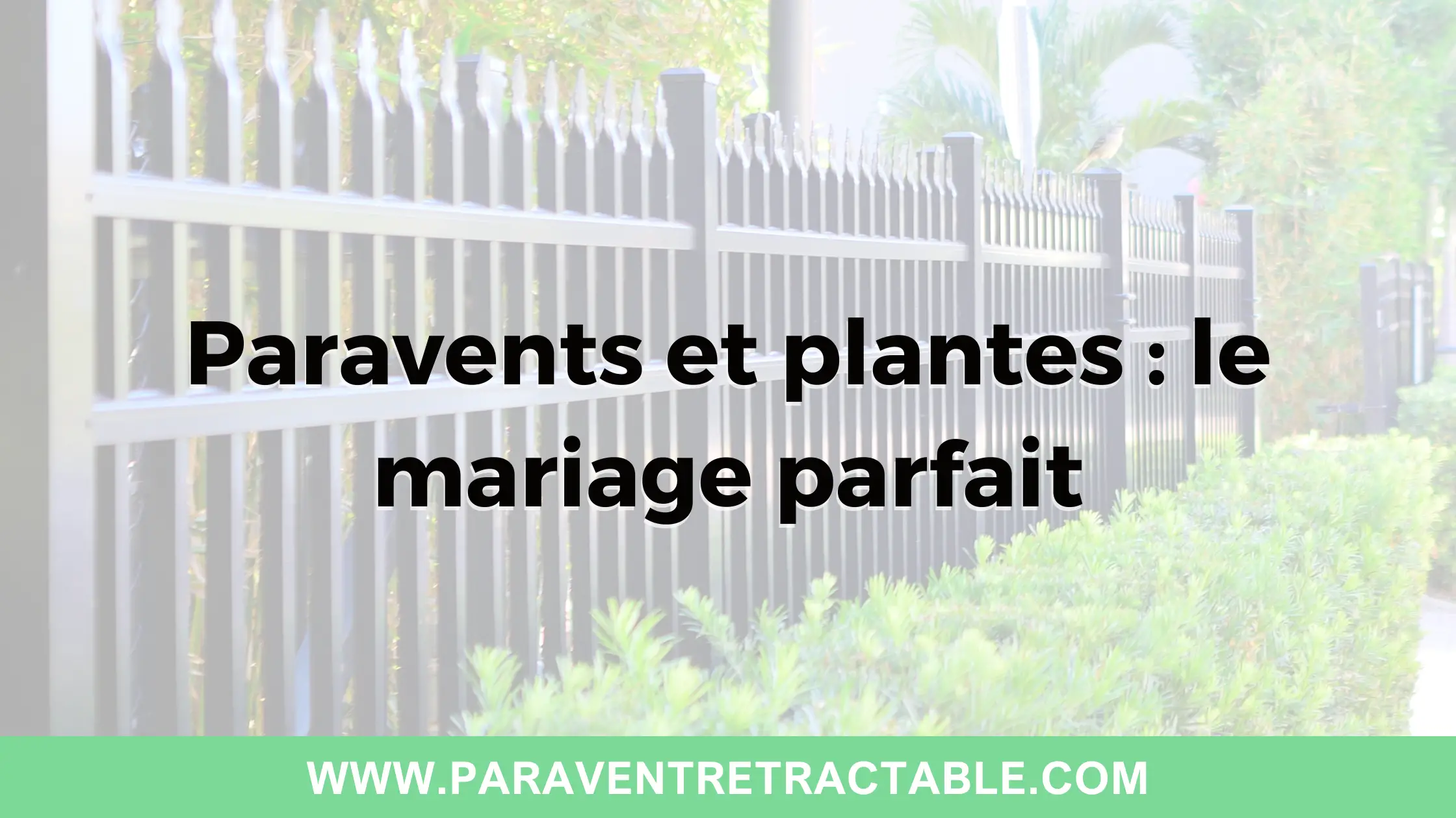 Paravents et plantes : le mariage parfait